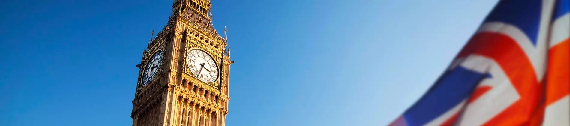 Top Majors in Saudi Arabia and Where to Study in the UK Top Majors in Saudi Arabia and Where to Study in the UK